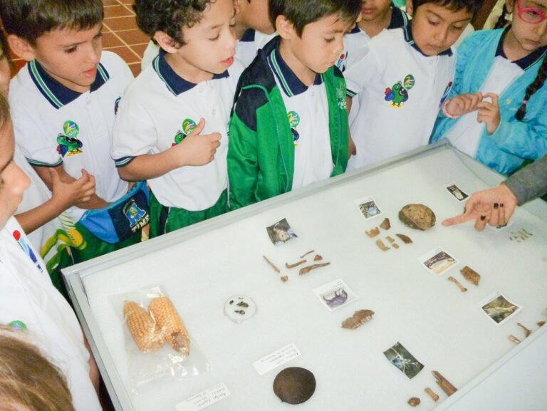 Grupo de niños visitando el museo en el año 2015